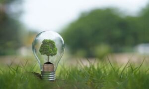 greenwashing pazarlama