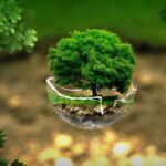 Bir Pazarlama Tekniği Olarak Greenwashing