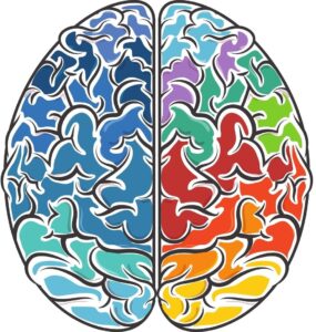 renkler beynimizi nasıl etkiliyor