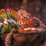 Marka Kimliği ve Renk Seçimi: Doğru Rengi Nasıl Bulursunuz?